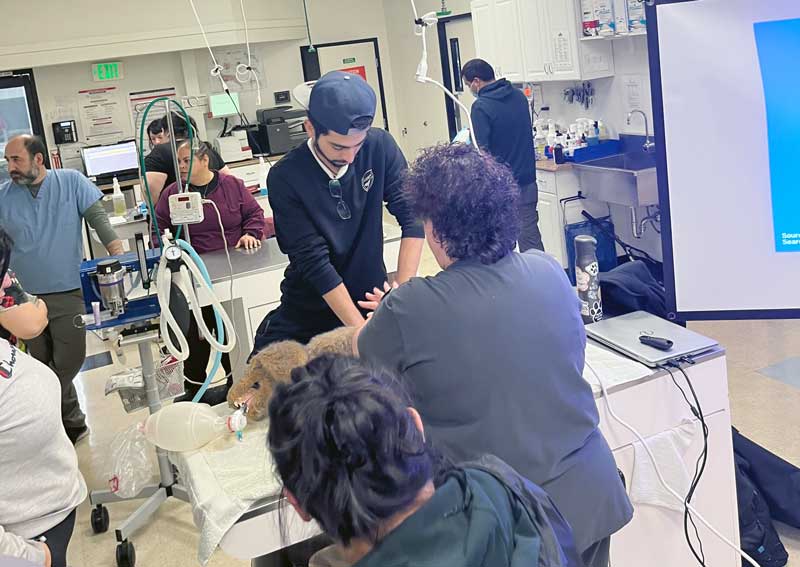 Carousel Slide 3: Our staff is trained to see veterinary emergencies.