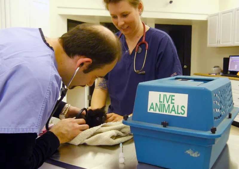 Carousel Slide 5: Wellness Promotions