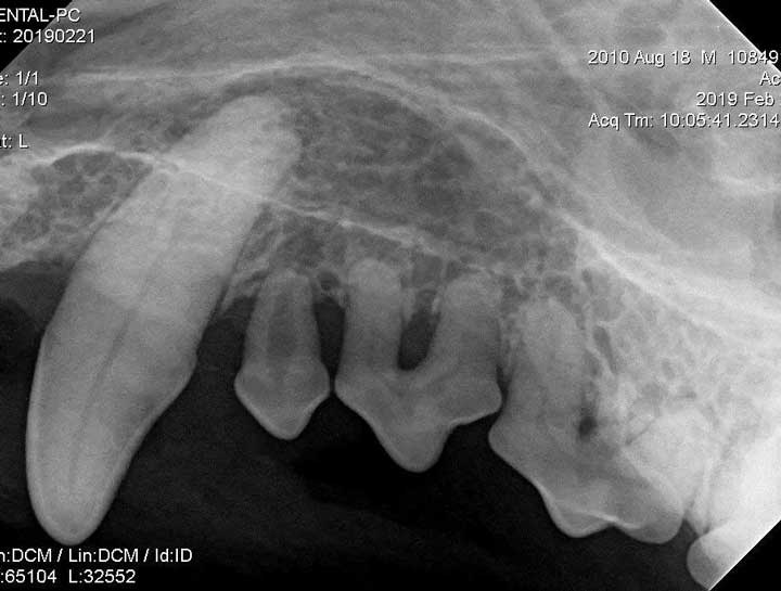 Digital Dental Radiology